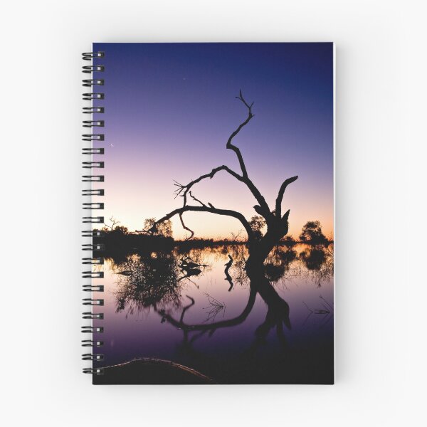 Item preview, Venus and the Moon at Menindee designed and sold by Carol Ritchie.
