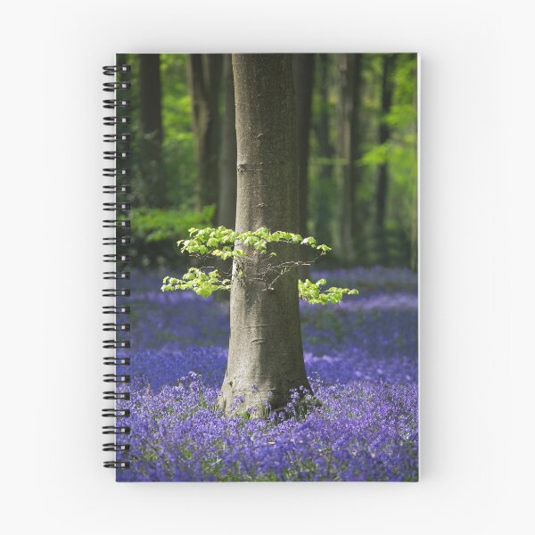 Item preview, Bluebell woodlands designed and sold by Martyn Franklin.