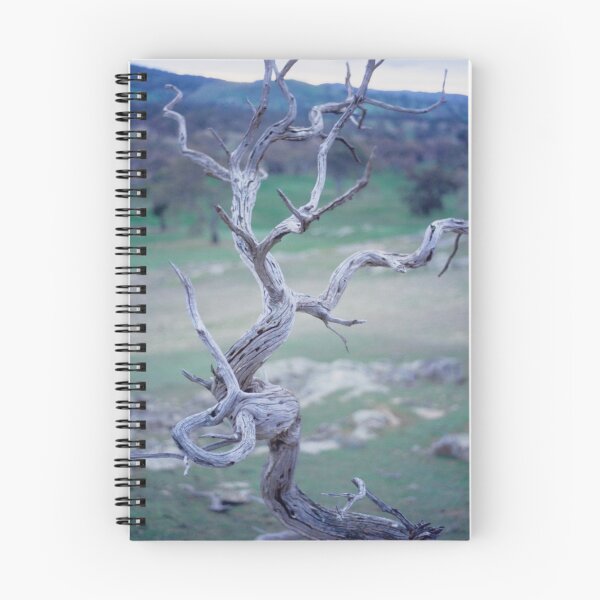 Item preview, Dead Wood designed and sold by Travelling Photo.