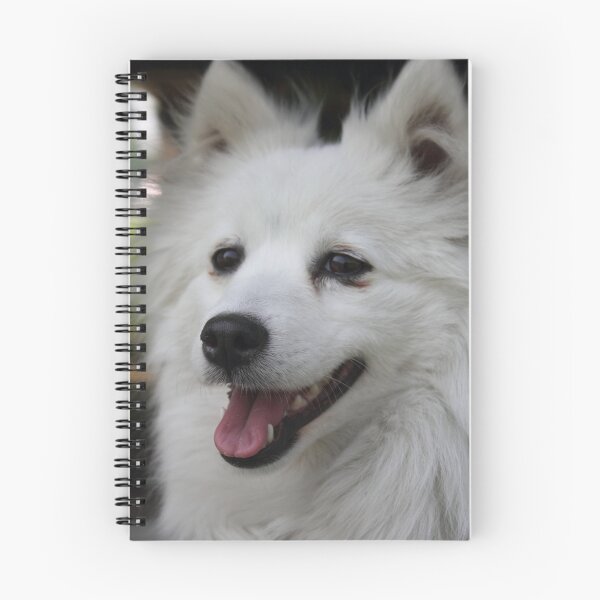 Item preview, American Eskimo Dog  designed and sold by Abiix.