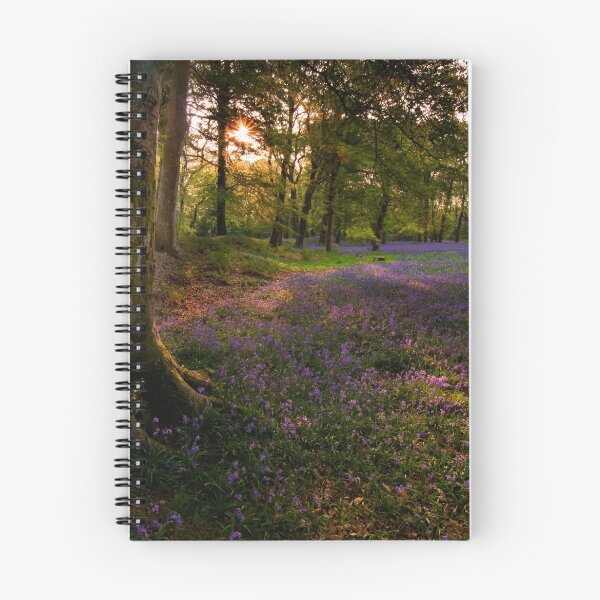 Item preview, Bluebells 4 @  Blackbury Camp, Devon designed and sold by David  Rowlatt.