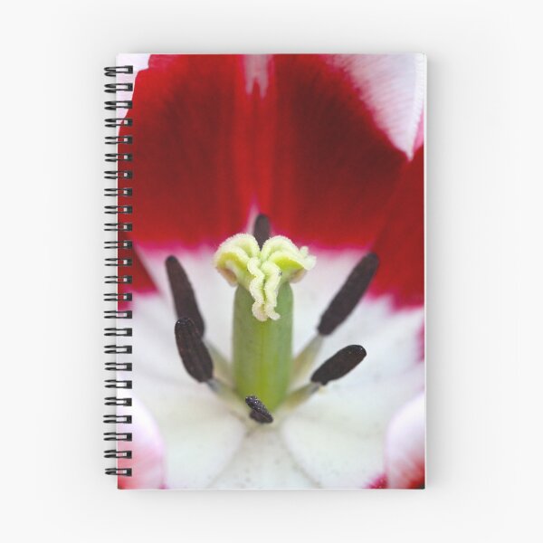 Item preview, Inside designed and sold by Roswitha Lorz.