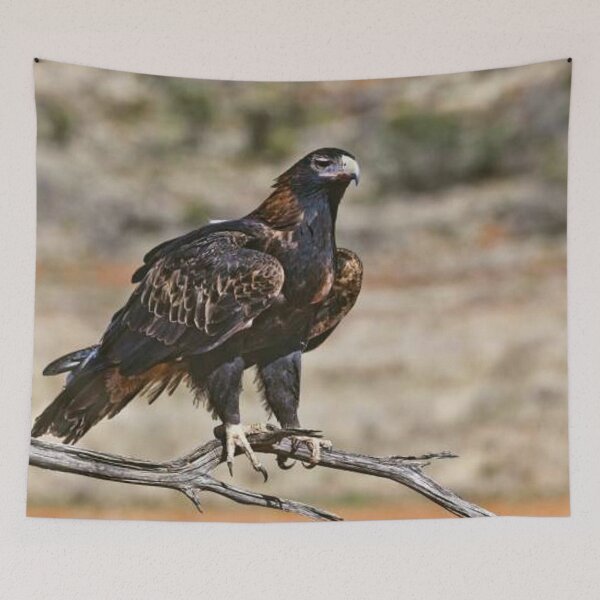 Item preview, Wedge-Tailed Eagle designed and sold by Clive.