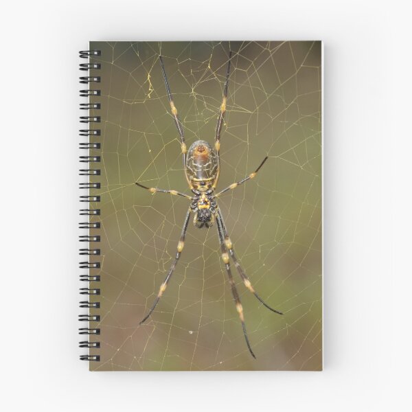 Item preview, Golden Orb Weaver - Nephila sp. designed and sold by Andrew Trevor-Jones.