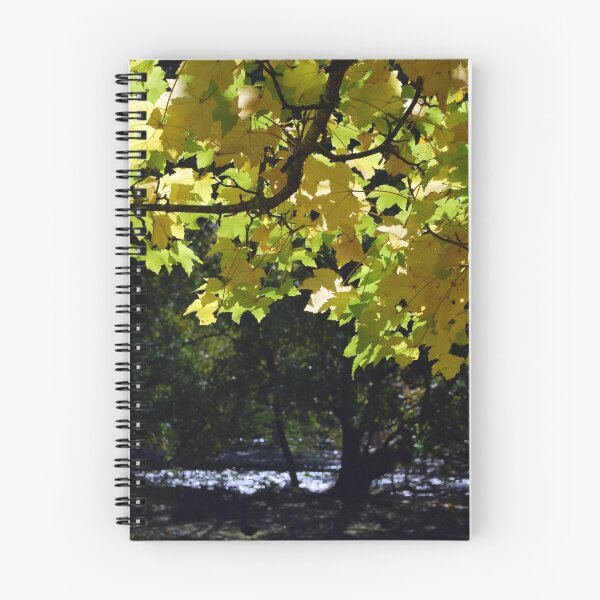 Item preview, Autumn Glory designed and sold by Lorraine McCarthy.