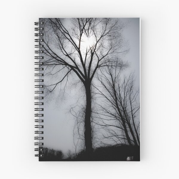 Item preview, Leafless Tree, Early Spring designed and sold by Klezedawg Imaging.