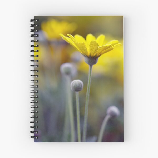 Item preview, daisy designed and sold by Cheryl Ribeiro.