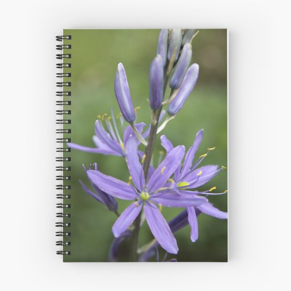 Item preview, Blue designed and sold by Steve plowman.