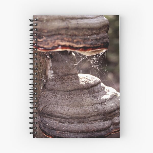 Item preview, Polypores designed and sold by homesick.