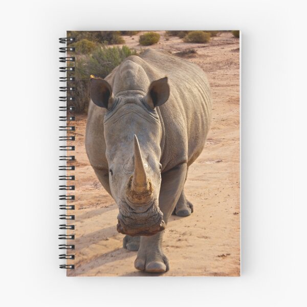 Item preview, White Rhino - Cape Town, South Africa designed and sold by Phil McComiskey.