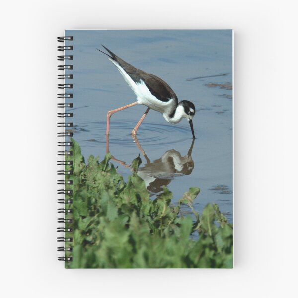 Aperçu de l'œuvre Black Necked Stilt créée et vendue par Stephanie Hazen.