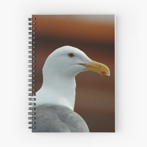 Aperçu de l'œuvre Western Gull créée et vendue par Stephanie Hazen.
