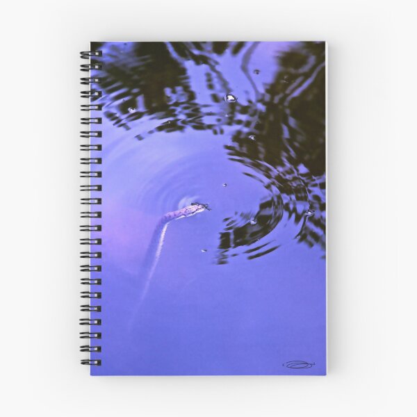 Artikelvorschau, RIPPLES OF A FORKED TONGUE. entworfen und verkauft von NICK COBURN PHILLIPS.