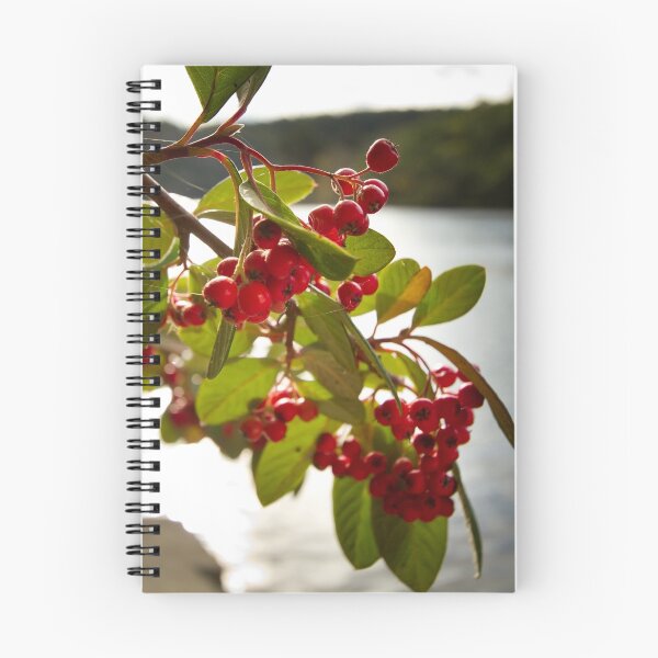 Item preview, Berrys designed and sold by Rob Tremelling.