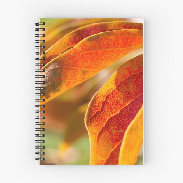 Aperçu de l'œuvre Autumn créée et vendue par Dustinit.