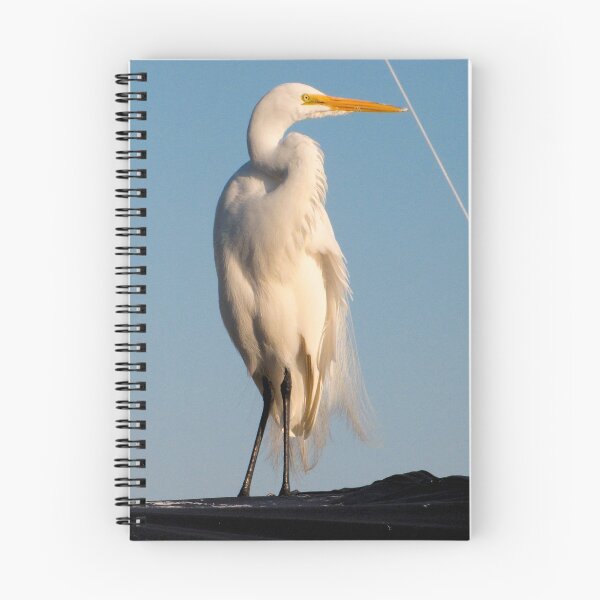 Item preview, Great Egret and Line... designed and sold by Frank Bibbins.