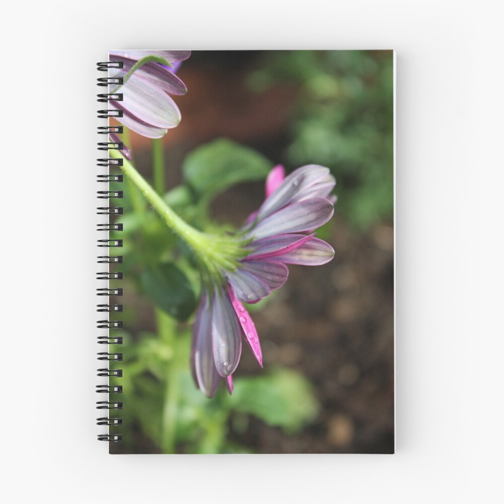 Item preview, Spiral Notebook designed and sold by Boo7.