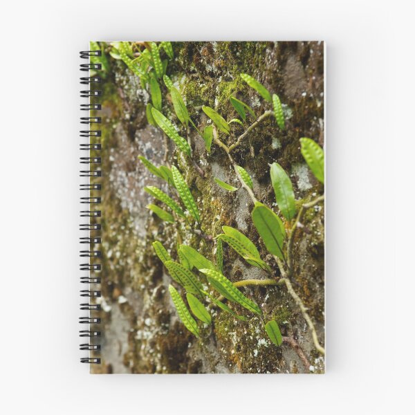 Item preview, Textured Leaves - Otago Peninsula, New Zealand designed and sold by Phil McComiskey.