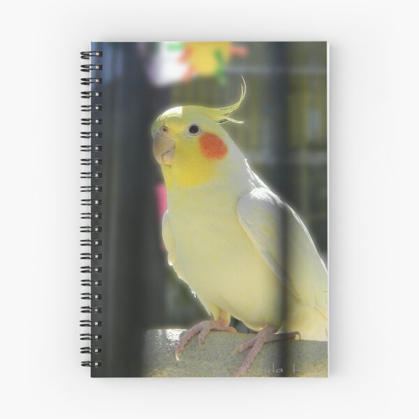 Item preview, "Rafa" designed and sold by Leyla Hur.