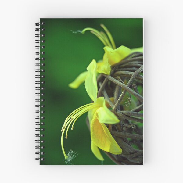Artikelvorschau, Yellow azalea entworfen und verkauft von Doug McRae.
