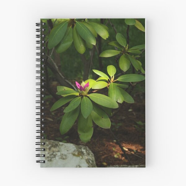 Artikelvorschau, I am in the Spotlight...Time to Bloom. entworfen und verkauft von Kent Nickell.