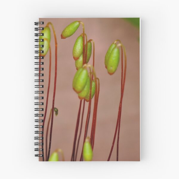 Item preview, Moss Flowers designed and sold by Paul  Eden.