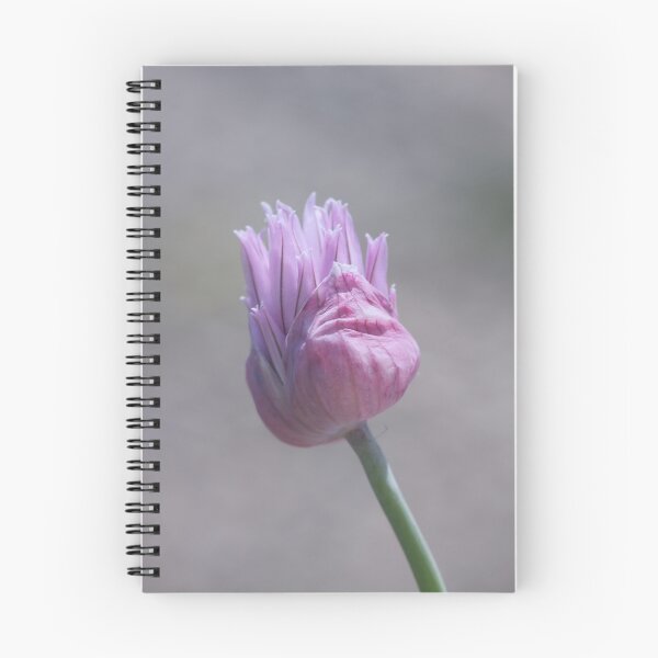 Item preview, Chives designed and sold by Roswitha Lorz.