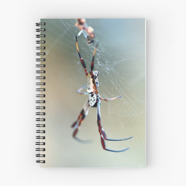 Item preview, Housekeeping designed and sold by Adam Le Good.