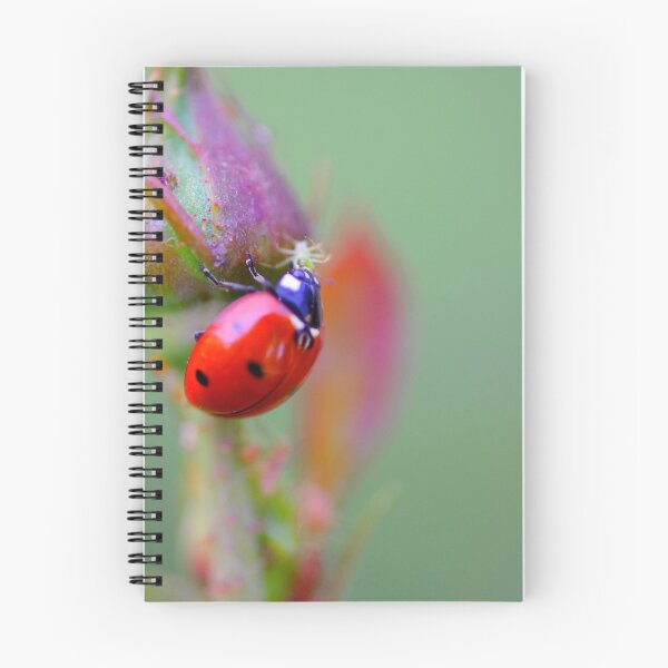 Item preview, ladybug eating an aphid designed and sold by supergold.