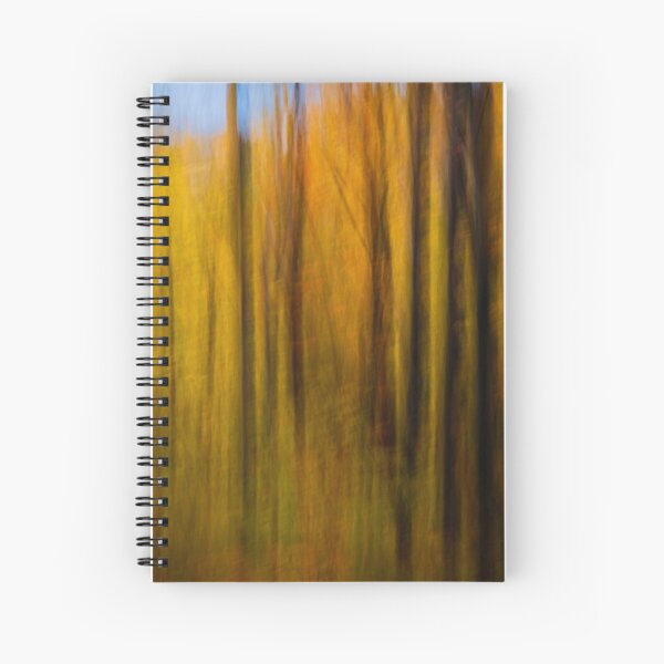 Autumn Treasure 3 Spiral Notebook