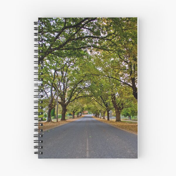 Item preview, Yackandandah Autumn Series ~ High Street designed and sold by Jane Keats.