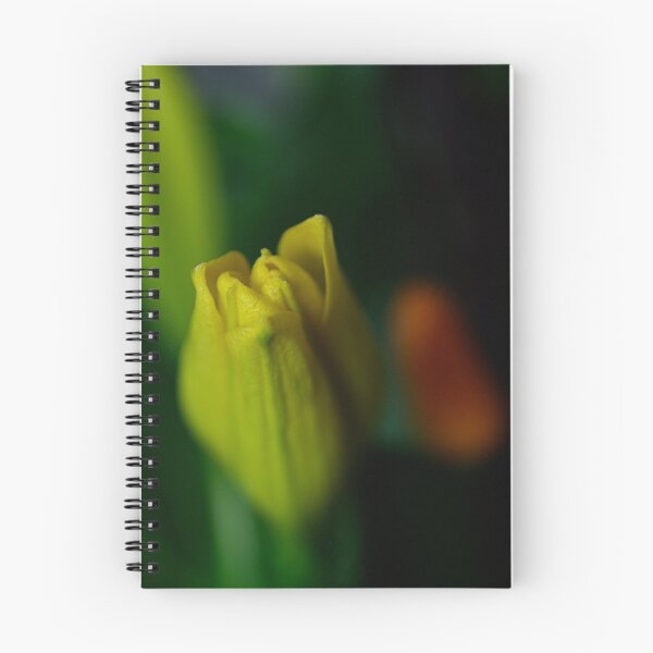 Item preview, In bloom...almost designed and sold by Norman Repacholi | Keystone Photography.