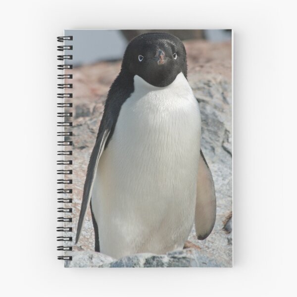 Item preview, Adelie penguin 7 designed and sold by rhallam.