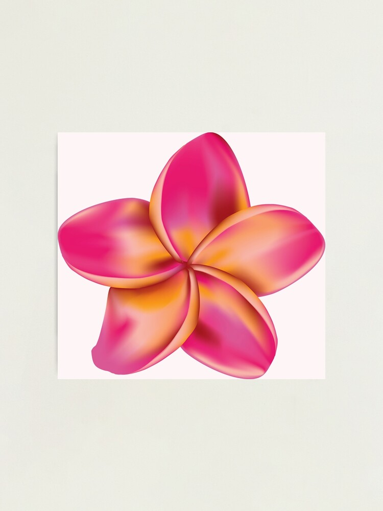Society6 iPhone4/4S,5用 Plumeria Blossoms Plumeria Flower Phone Grip|phone Accessory |flower Grip