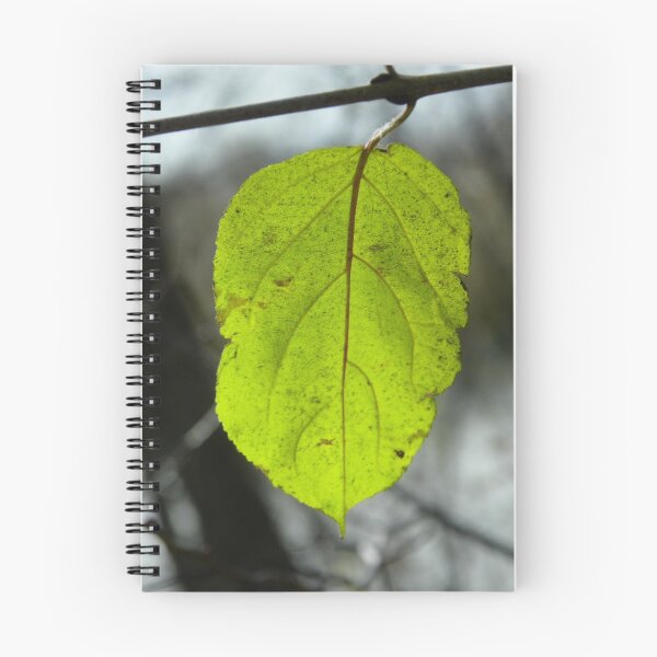 Item preview, Single Leaf designed and sold by Diane Trummer Sullivan.