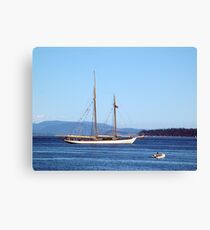 Visitor Canvas Print