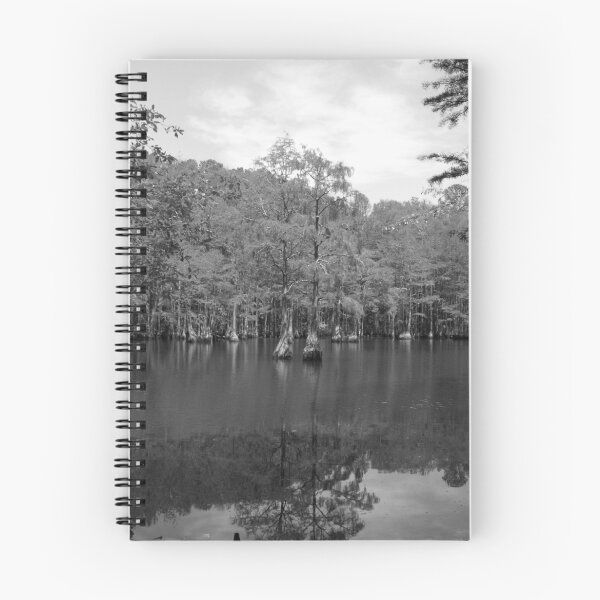 Item preview, Lake Trees designed and sold by Isaac Daily.