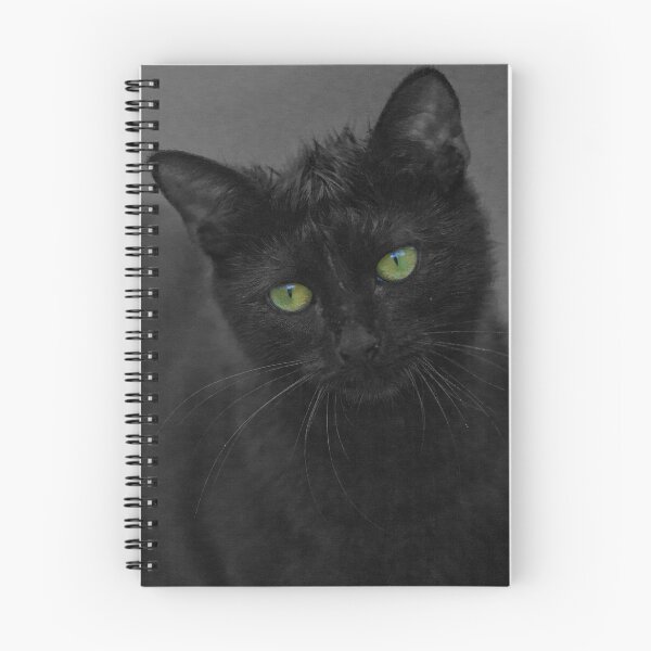 Item preview, Cats Eyes - Cat Loves Water designed and sold by Hillsy75.