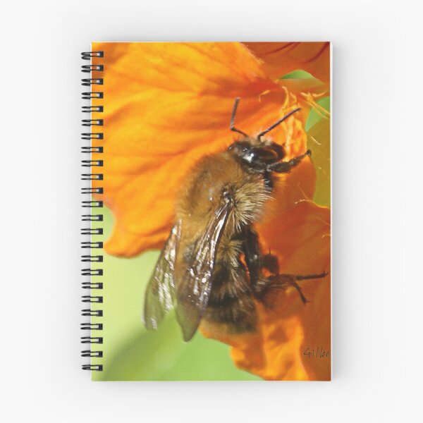 Item preview, Bee on Nasturtium designed and sold by Gilberte.