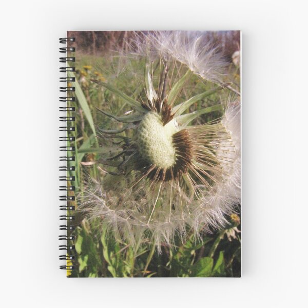 Item preview, Dandilion....Three Stages designed and sold by Diane Arndt.