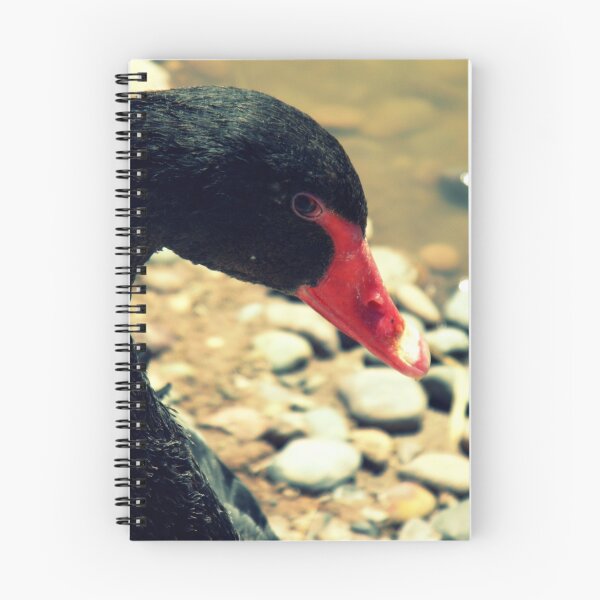 Item preview, The Eye of A Swan is Pure designed and sold by musicisart.