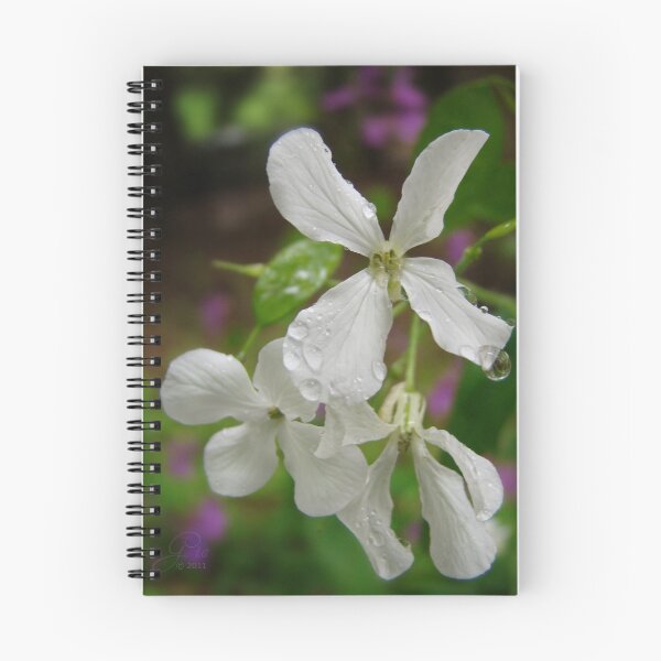 Item preview, " Honesty In The Rain " designed and sold by Gail Jones.