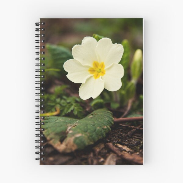 Item preview, Primrose designed and sold by David Isaacson.