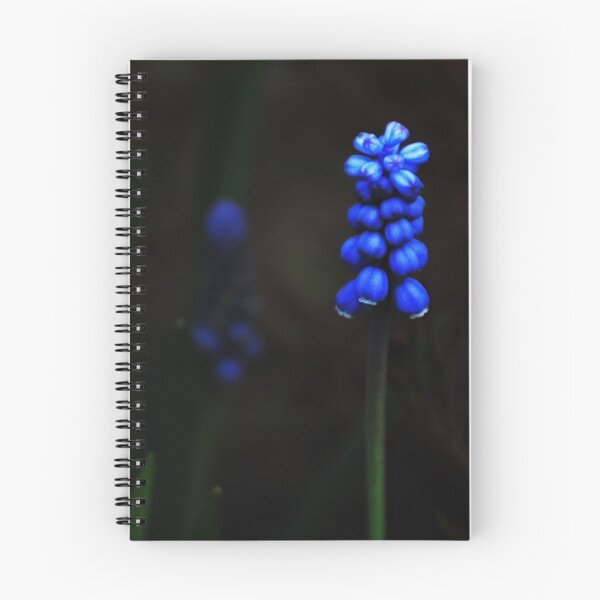Item preview, Blue in spring on my backyard designed and sold by Antanas.