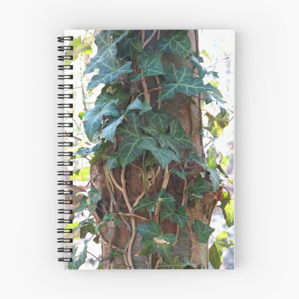 Item preview, Climbing Ivy designed and sold by MarianBendeth.