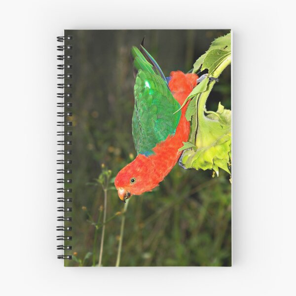Item preview, King Parrot designed and sold by Sergio Spagnolo.