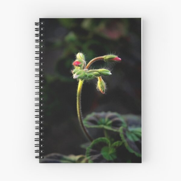 Item preview, Delicate Curves designed and sold by Ellen Cotton.