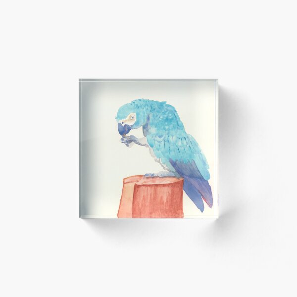 Blue Parrot Acrylic Block