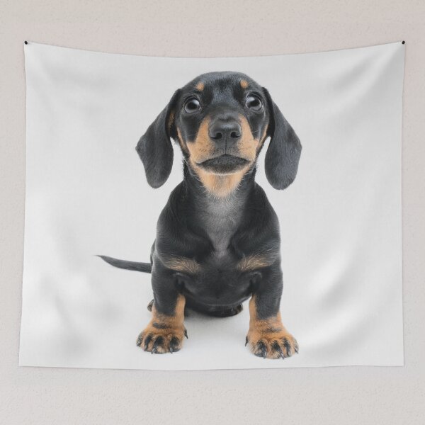 Item preview, Happy Dachshund designed and sold by ernest123.