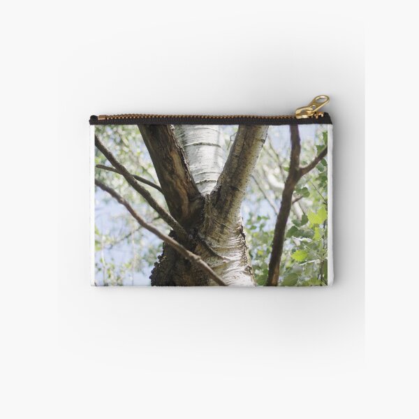 Item preview, Graceful Birch designed and sold by photolodico.